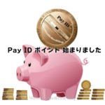 PayIDポイント始まりました